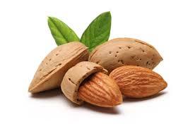 Almond Oil