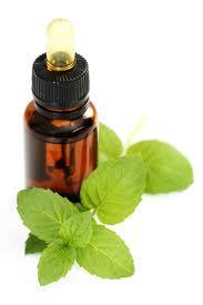 Pepper Mint Oil