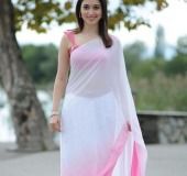 Luxurious Pink And White Saree