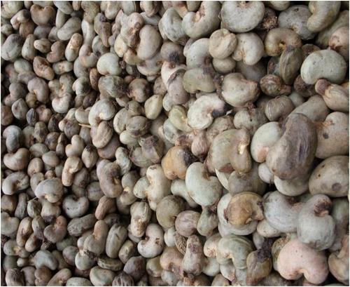 Raw Cashew Nuts In Shell By Olex Empire Limited