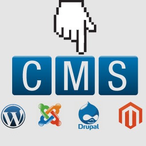 CMS Development