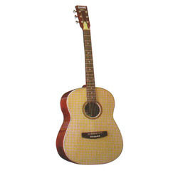 12 String Special Guitar