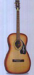 G 150 Standard Guitar