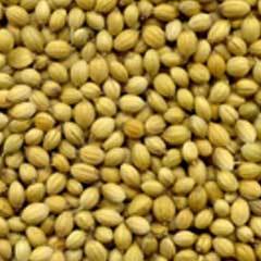 Coriander Seed