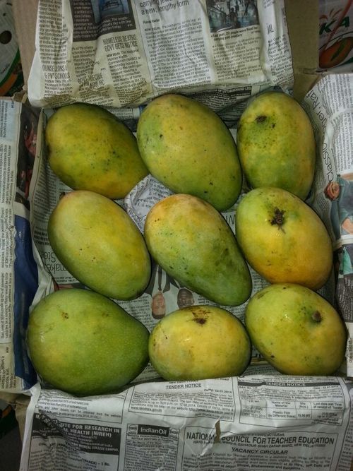 Safeda Mango