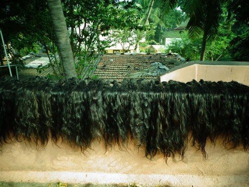 Unprocessed Raw Human Hair