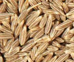 Cumin Seed Oil