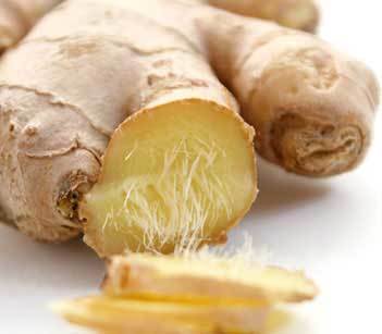 Ginger Oleoresin