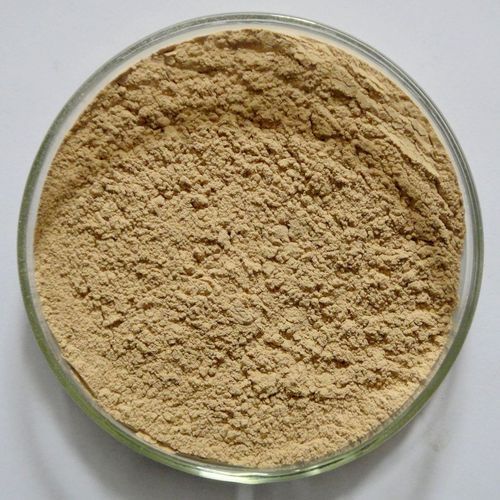 Panax Ginseng Extract Ginsenoside 80% HPLC