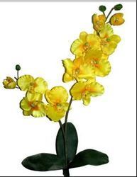 AF 31 Orchid With Root Artificial Flowers