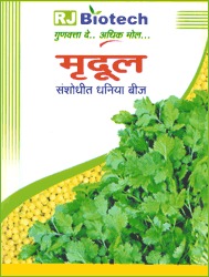 Coriander a Mrudul