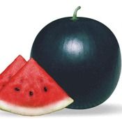 Hybrid Watermelon (Black Wonder)