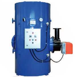 Gas Fired Water Heaters