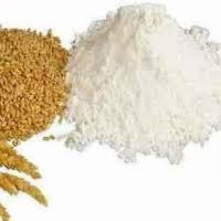 Wheat Flour