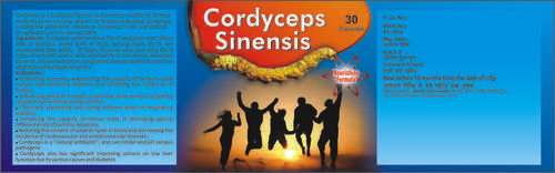 Cordyceps Capsules