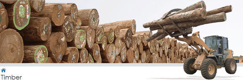 Timber Round Logs