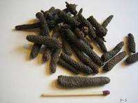 Long Pepper (Pippli)