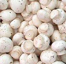 Mushroom - High Nutritional Value Variety, Quality Assured and Widely Available