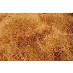 Coir Cut Fiber