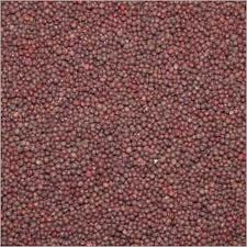 Mustard Seeds - 99.5% Purity Black & Yellow | Rich in Oil, Versatile Culinary Applications, Traditional Pain Relief