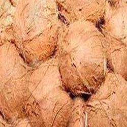 Pollachi Coconut - Pure, Fresh, Organic Quality | Versatile Use Across Various Industries