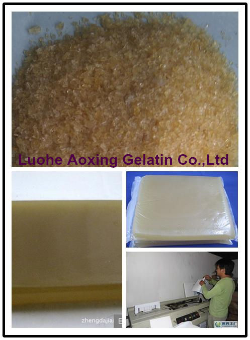 Bovine Skin Gelatin Used For Book-Binding