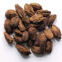 Black Cardamom