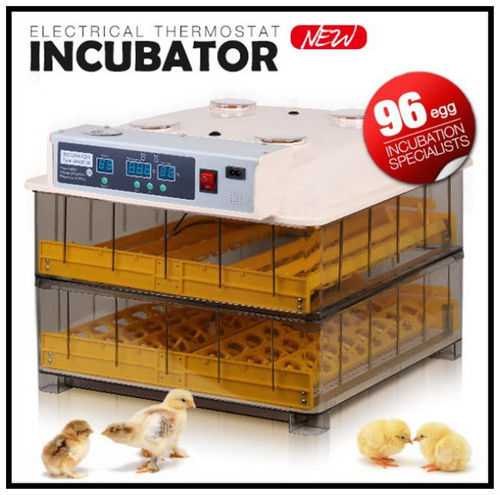 Fully Automatic Small Egg Incubator