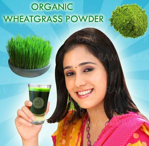 Organic Wheatgrass Powder - Bulk