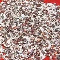 castor seeds