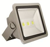 Led Floodlight 100w