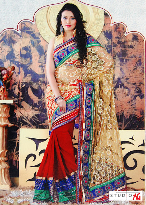 Golden And Red Net And Georgette Saree