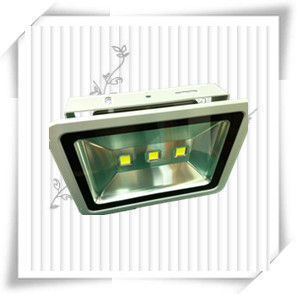 Flood Light (150W)