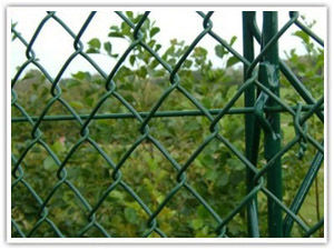 Galvanized Chan-Link Wire Mesh