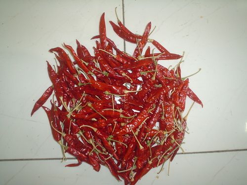 Sannam dry red chilli