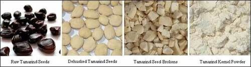 Tamarind Kernel Powder - Versatile Sizing Agent | Excellent Penetration, Fiber Forming Properties, Eco-Friendly Applications in Textiles, Paper, Jute Yarn, Oil Drilling, and Foundries