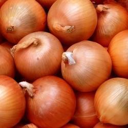 Fresh Onion