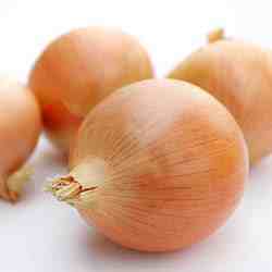 Medium Size Onion