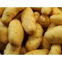 Organic Potatoes