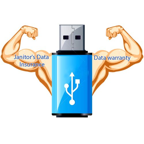 Pre-Paid Data Recovery Service For Pen Drive And Memory Card By Janitor Data (Bombay) Pvt. Ltd.