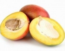  Africa Mango Seed Extract 