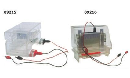 Electrophoresis Apparatus