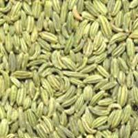 Fennel Seeds