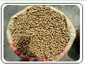 Fiber Cattle Feed