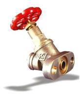 Drain Valve