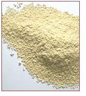 Full Fat Soya Flour - Enzyme In-Active (Feed Grade)