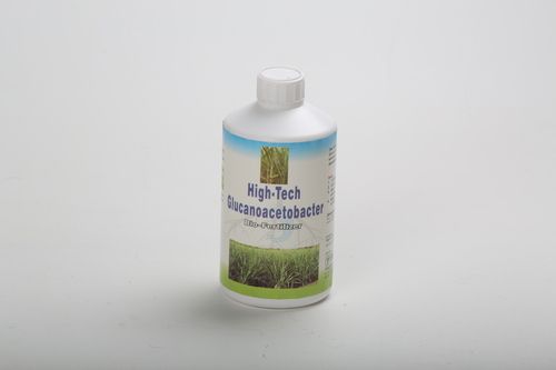 Glucanoacetobacter Liquid Biofertilizer