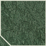 Green Marble - Premium Quality Natural Stone | Superior Processing Techniques, Consistent Quality, Timely Deliveries