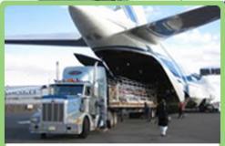 LA Air Freight Services