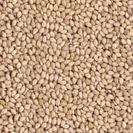 sesame seeds